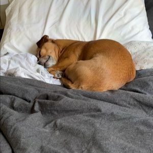 Meet your Posher, Theodore